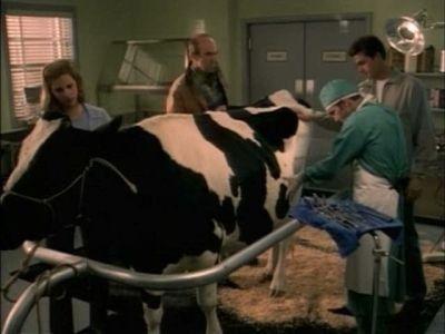 Dark Skies Season 1 Episode 6 - Inhuman Nature