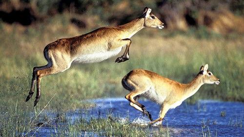 Nature's Great Events Season 1 Episode 5 - The Great Flood