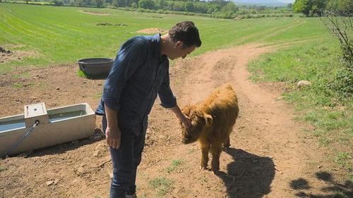 Countryfile Season 38 Episode 20 - Shropshire’s Nature Comeback