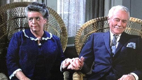 The Andy Griffith Show Season 6 Episode 4 - Aunt Bee, the Swinger