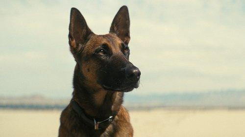 Fallout Season 1 Episode 7 - The Radio