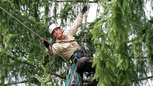 The Ranger - On the Hunt Season 1 Episode 7 - Himmelhoch