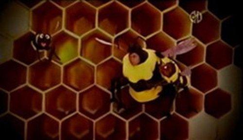 Sesame Street Season 40 Episode 3 - Baby Bear is Afraid of Bees