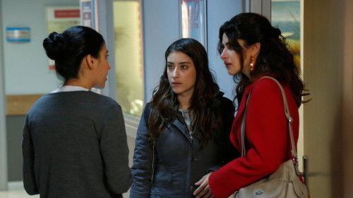 Our Story Season 1 Episode 17 - Episode 17