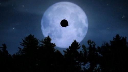 Minuscule: The Private Life of Insects Season 1 Episode 10 - Zzzeplin