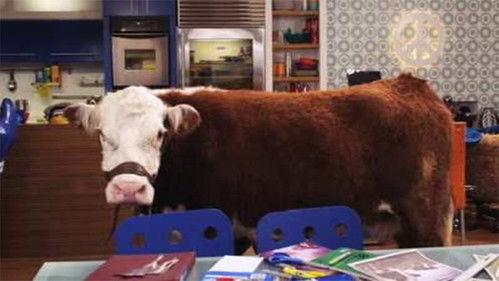 Big Time Rush Season 2 Episode 15 - Green Time Rush