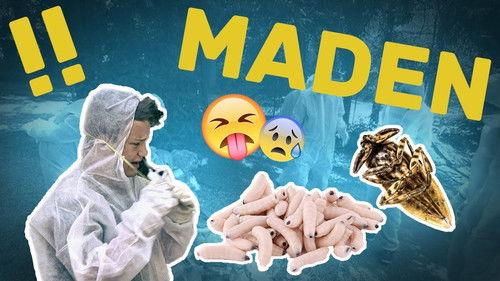 Die Jungs-WG Season 1 Episode 16 - Episode 16