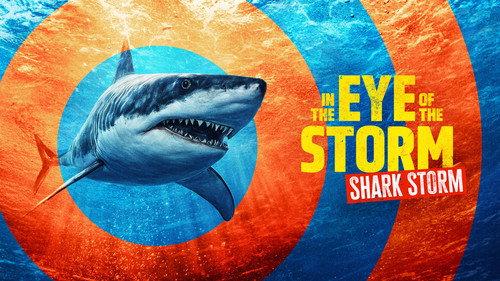 Shark Week Season 38 Episode 6 - In the Eye of the Storm: Shark Storm