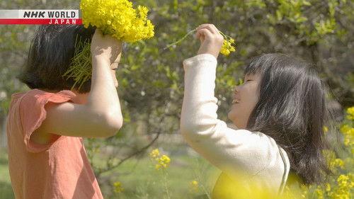 Hometown Stories Season 12 Episode 9 - A World Heritage Town: Past and Future