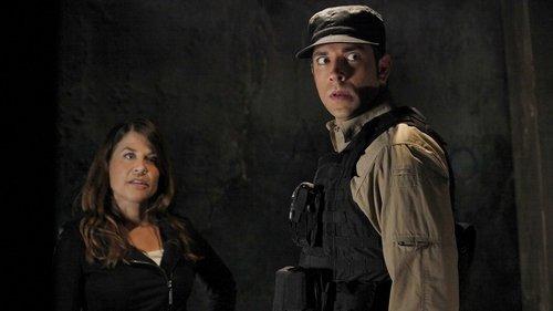 undefined Season 4 Episode 23 - Chuck Versus the Last Details