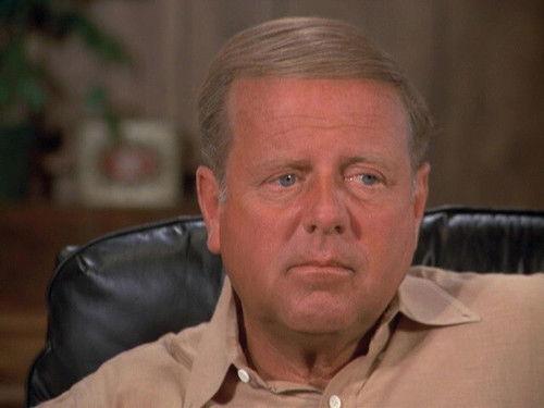 Eight Is Enough Season 5 Episode 22 - Father Knows Best