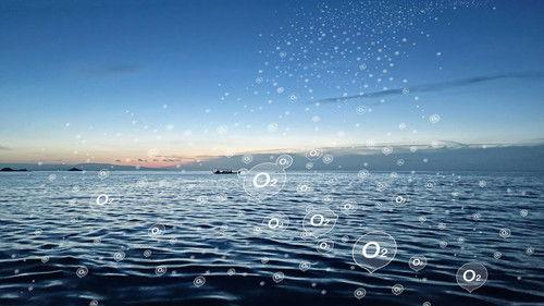 Ulisse - Il piacere della scoperta Season 9 Episode 17 - Ossigeno