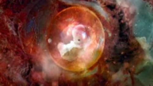 Through the Wormhole Season 3 Episode 3 - Is the Universe Alive?