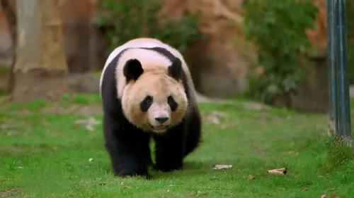 Zone interdite Season 31 Episode 9 - Episode 9