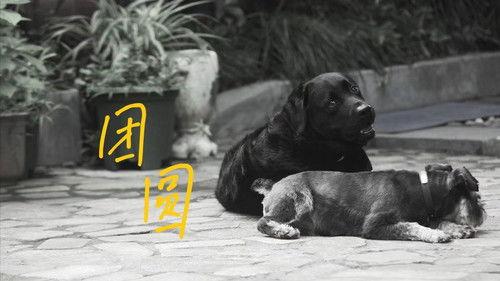 今生，请多指教 Season 1 Episode 4 - Episode 4