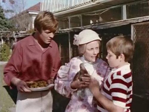 Skippy the Bush Kangaroo Season 3 Episode 12 - Pigeon Pair