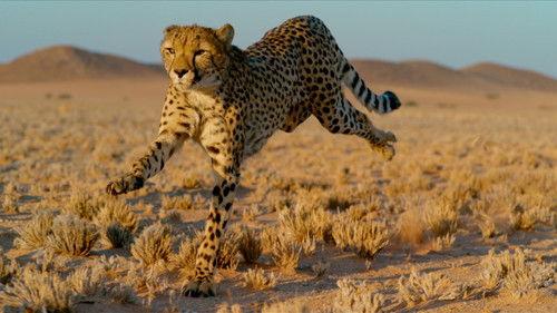 undefined Season 1 Episode 3 - Episode 3