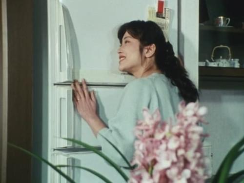 Chouriki Sentai Ohranger Season 1 Episode 11 - Submission!! The Refrigerator of Love