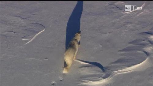 Superquark Season 23 Episode 2 - Episode 2