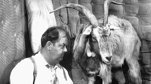 The Andy Griffith Show Season 3 Episode 18 - The Loaded Goat