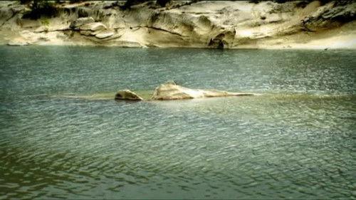 Minuscule: The Private Life of Insects Season 1 Episode 5 - The Bridge Over the River Zzzzzeee