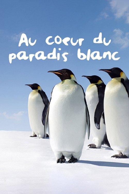 Tears of Antarctica poster