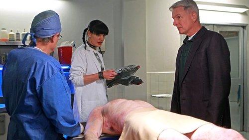NCIS Season 9 Episode 10 - Sins of the Father