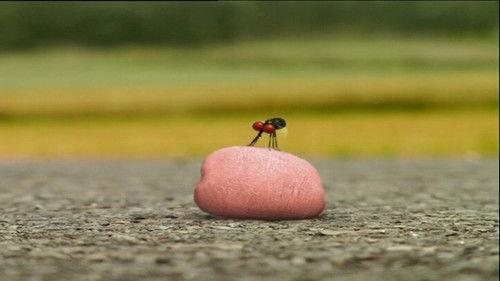 Minuscule: The Private Life of Insects Season 1 Episode 45 - Chewing Gum