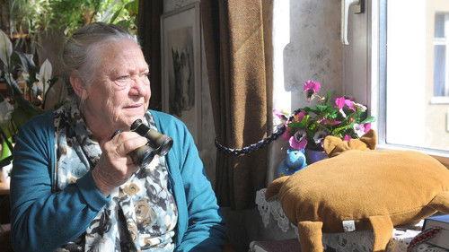 Scene of the Crime Season 41 Episode 14 - Episode 14