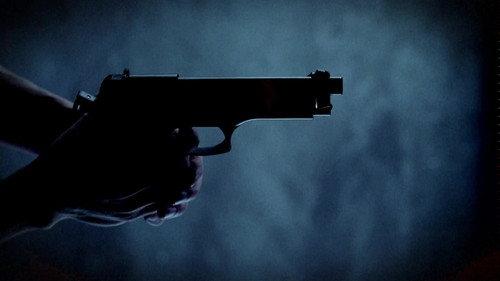 Through the Wormhole Season 8 Episode 4 - Is Gun Crime a Virus?