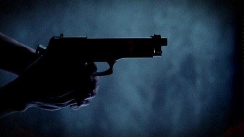 Through the Wormhole Season 8 Episode 4 - Is Gun Crime a Virus?