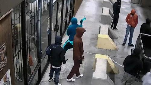 CrimeCam 24-7 Season 1 Episode 8 - Desperate Measures