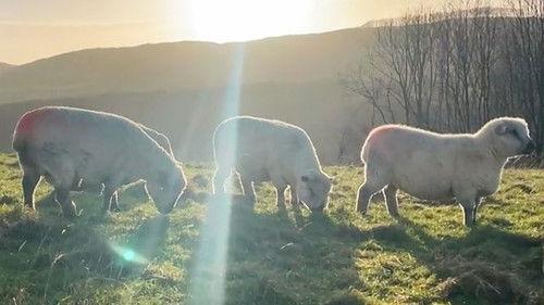 Countryfile Season 36 Episode 5 - Breaking into Farming
