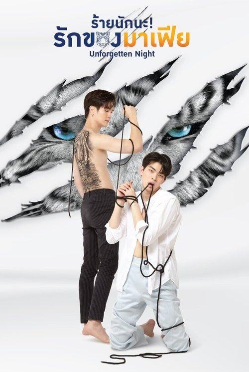 Unforgotten Night poster