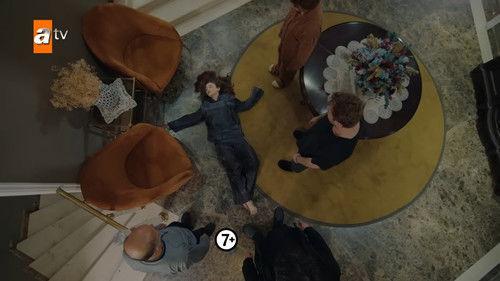 Street Birds Season 2 Episode 14 - Episode 35