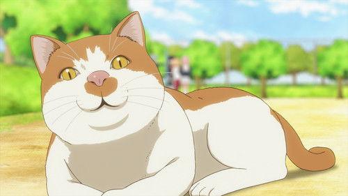 Wakaba Girl Season 1 Episode 10 - That's Impossible