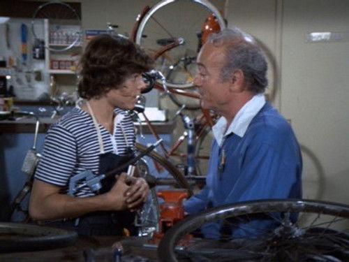 The Brady Bunch Season 4 Episode 19 - How to Succeed in Business?