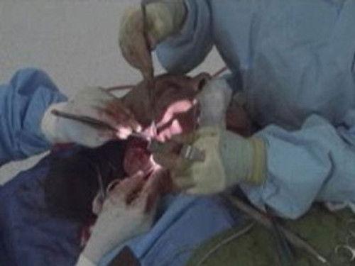 Gene Simmons: Family Jewels Season 2 Episode 5 - Face Off