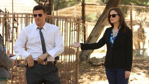 Bones Season 8 Episode 4 - The Tiger in the Tale