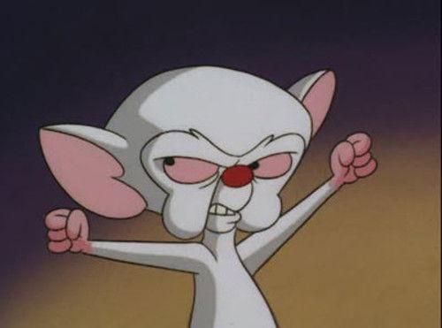 Pinky and the Brain Season 4 Episode 3 - Brainwashed Pt. 3: Wash Harder