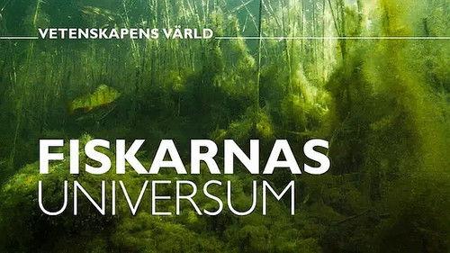 Vetenskapens värld Season 47 Episode 19 - Episode 19
