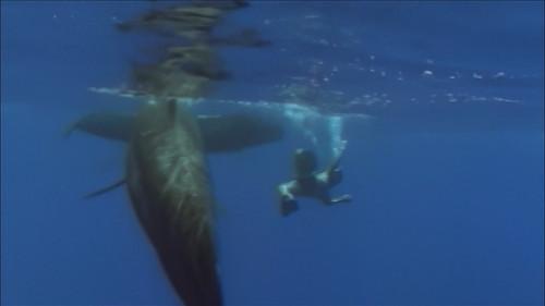 World's Most Amazing Videos Season 1 Episode 9 - Survival at Sea and Beyond