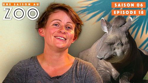 Une saison au zoo Season 6 Episode 18 - Episode 18