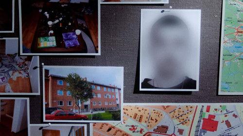 Svenska fall Season 11 Episode 5 - Episode 5