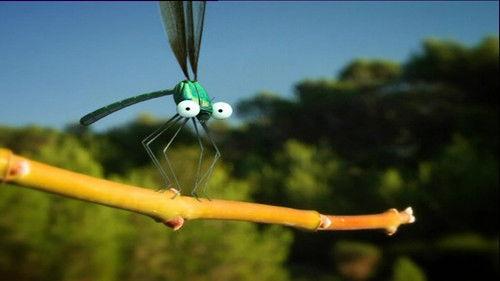 Minuscule: The Private Life of Insects Season 1 Episode 33 - Insect High Velocity