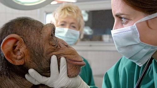 Tierärztin Dr. Mertens Season 1 Episode 11 - Episode 11