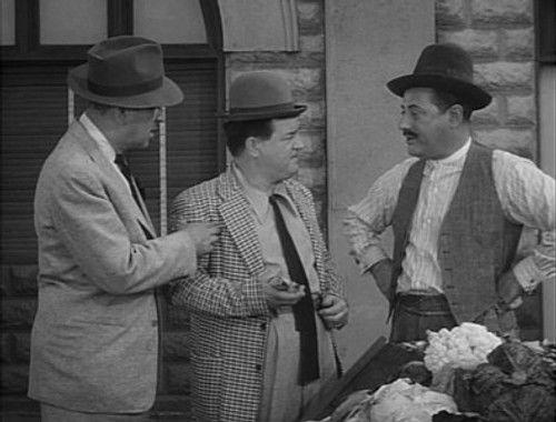 undefined Season 1 Episode 19 - Bingo the Chimp