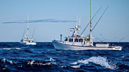 Wicked Tuna Season 10 Episode 13 - Chasin' the Bite
