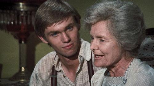 The Waltons Season 2 Episode 1 - The Journey