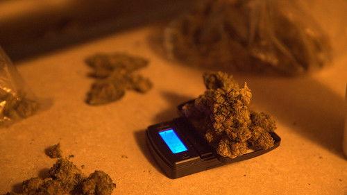 Drugs, Inc. Season 7 Episode 13 - Holi-Daze